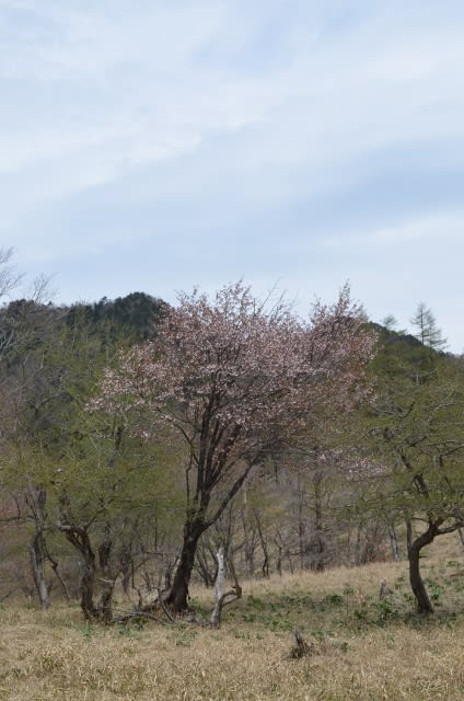 いちゃりばちょーでー いちゃりばちょーでー
